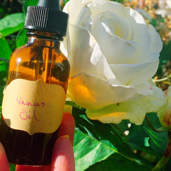 Venus Oil - Image 2