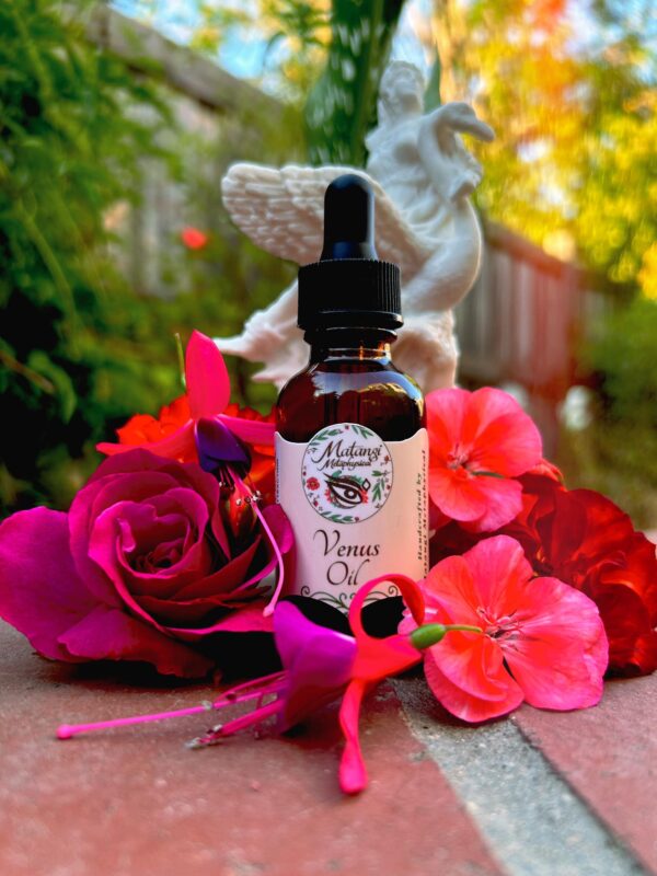 Venus Oil